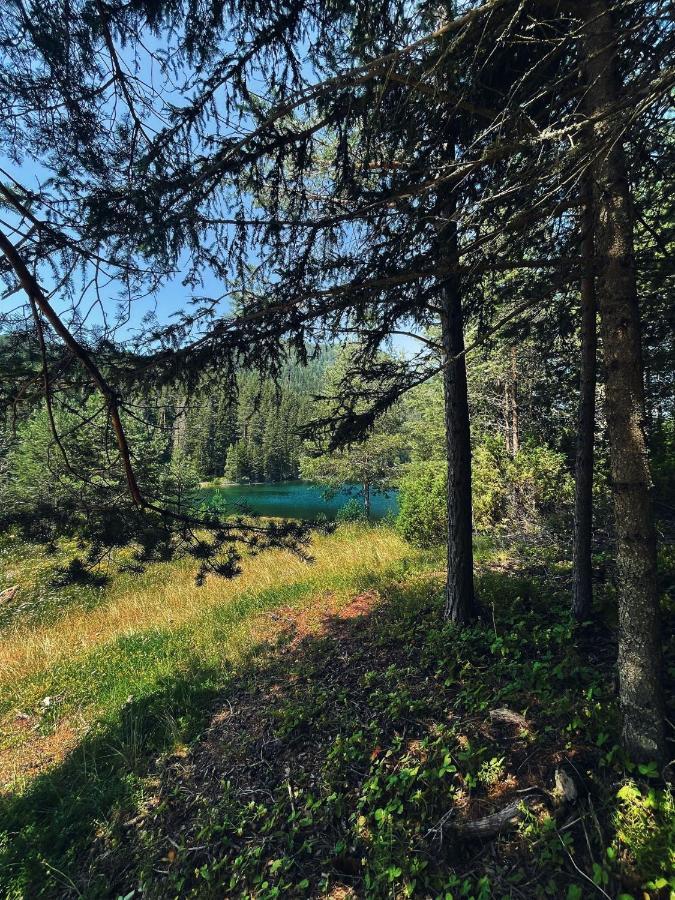 Zminica Lake House Zabljak  Bagian luar foto