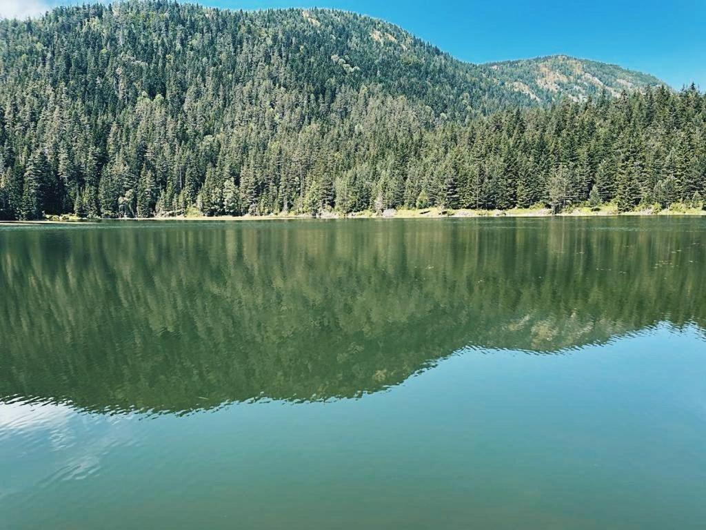 Zminica Lake House Zabljak  Bagian luar foto