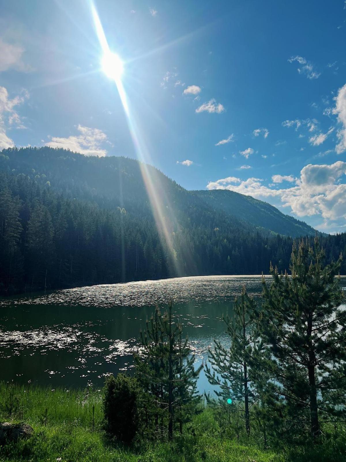 Zminica Lake House Zabljak  Bagian luar foto