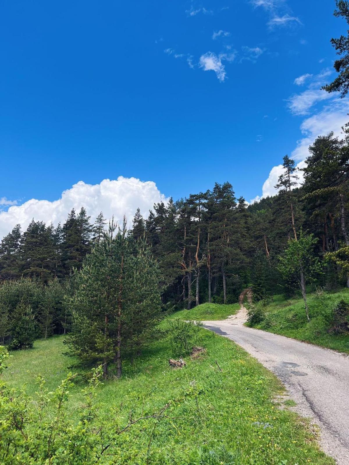 Zminica Lake House Zabljak  Bagian luar foto