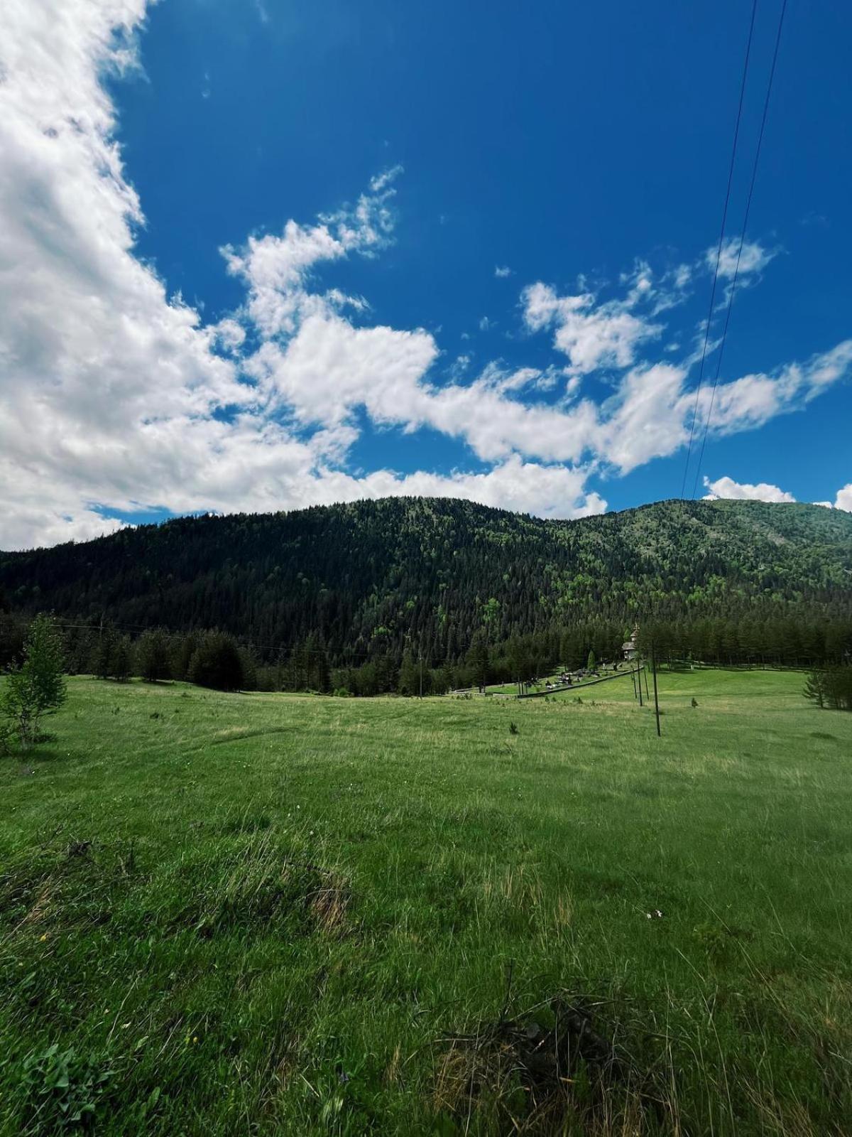 Zminica Lake House Zabljak  Bagian luar foto