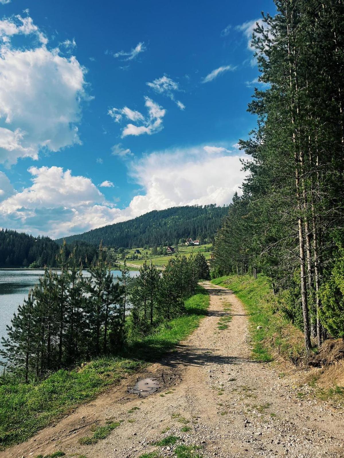 Zminica Lake House Zabljak  Bagian luar foto