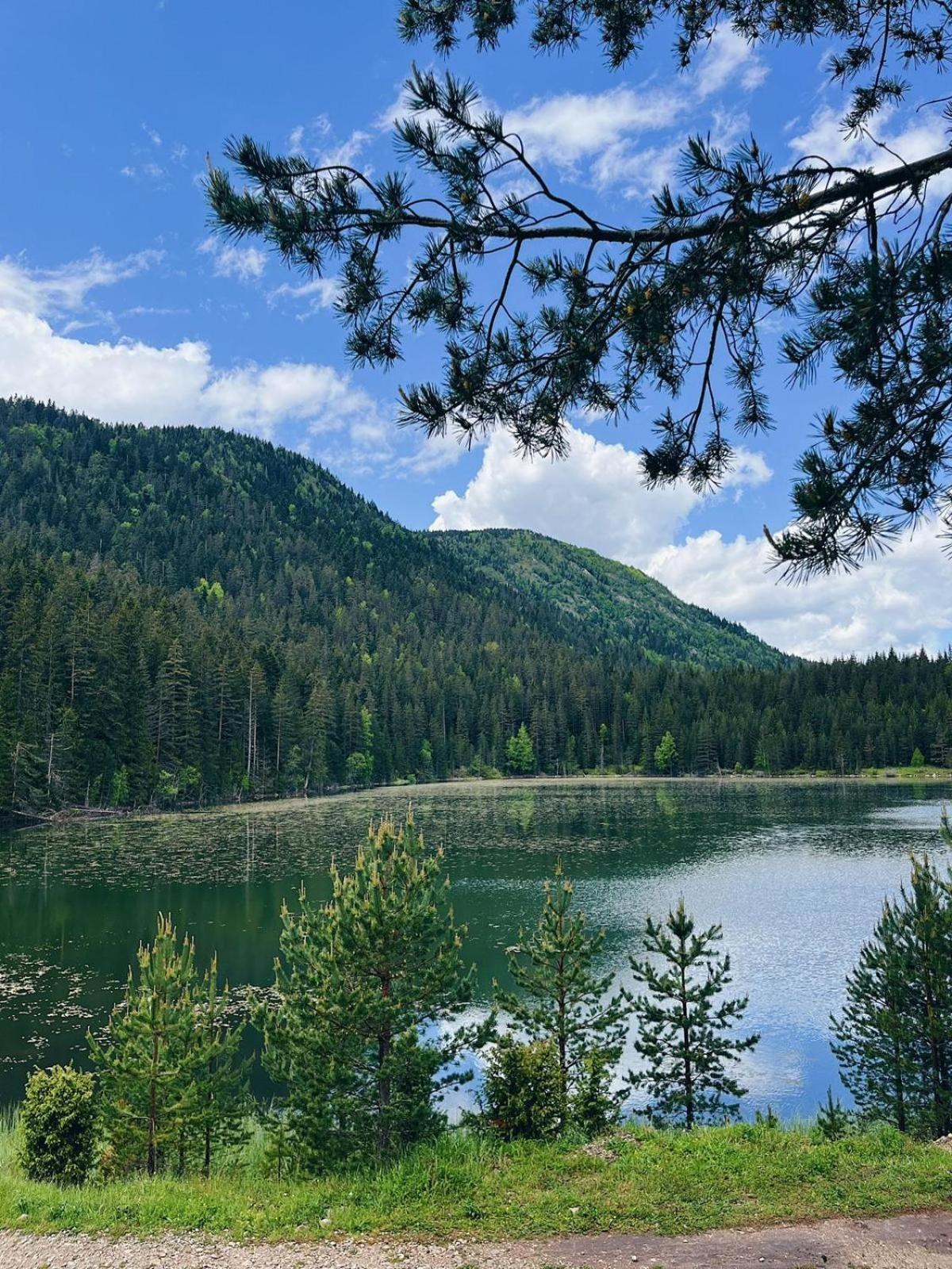 Zminica Lake House Zabljak  Bagian luar foto