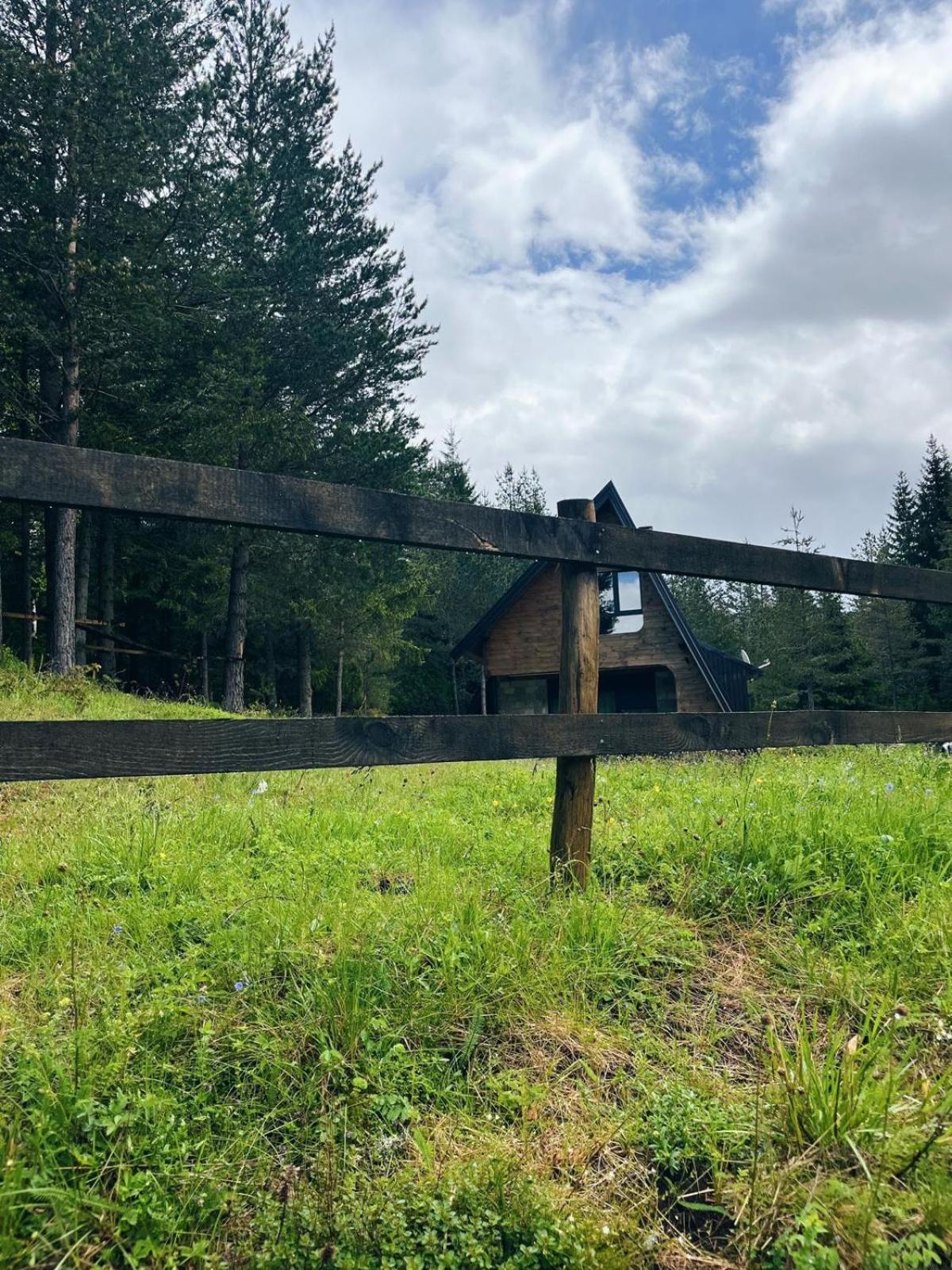 Zminica Lake House Zabljak  Bagian luar foto